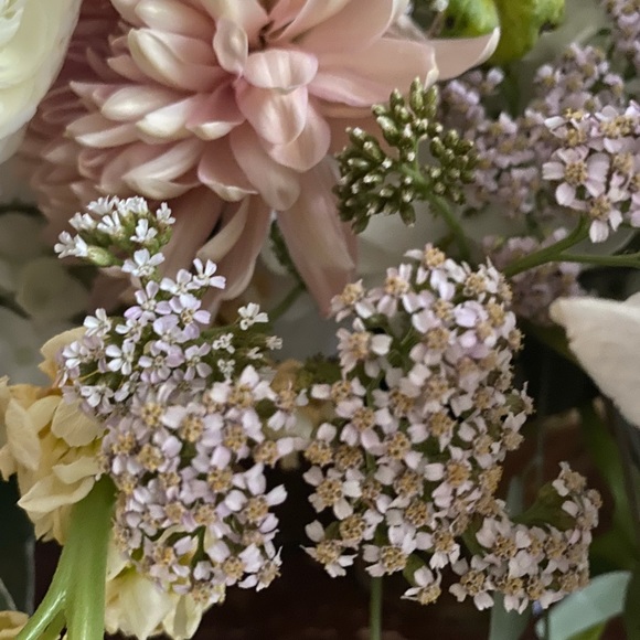 Meet your Posher, Elizabeth - Picture 2 of 5